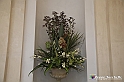 VBS_0240 - Corollaria Flower Exhibition 2022